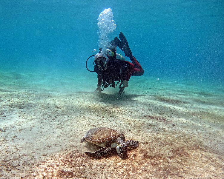 SC2025-Sean and Jessie - GOPR0096